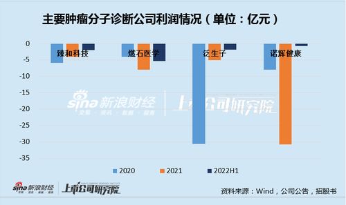 臻和科技IPO之路 三年虧損、同質(zhì)化競(jìng)爭(zhēng)與高企銷售費(fèi)用下的生存挑戰(zhàn)